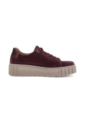 Gabor, GABOR SNEAKER LOW - Trainers - mulberry