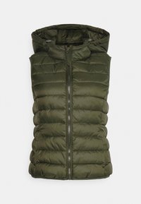 Não selecionado, forest night