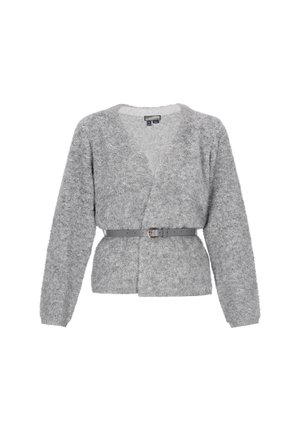 Grauer, flauschiger Cardigan mit V-Ausschnitt, langen Ärmeln und einem passenden grauen Gürtel. Verfügt über eine weiche Textur und ein offenes Frontdesign.