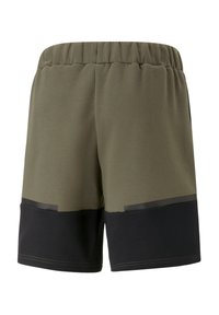 Puma FUSSBALL - TEAMSPORT - TEAMCUP CASUALS - Kurze Sporthose - gruen