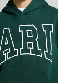 Felpa verde con cappuccio e lettere ricamate bianche "ARI". Presenta una tasca frontale e un tessuto strutturato. Include un cappuccio con coulisse.