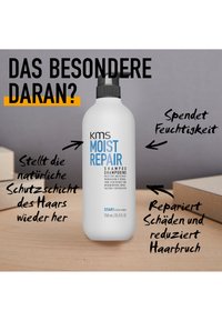 Miniatuurafbeelding 2