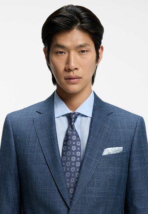 Man with black hair wearing a blue checked suit, light blue shirt, patterned blue tie, and white pocket square on a white background.