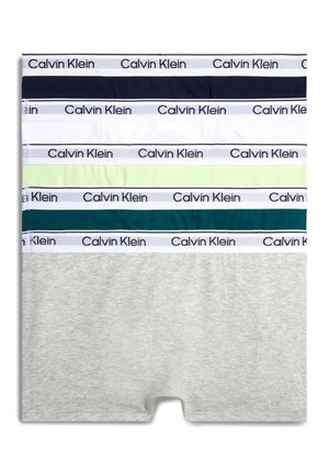 Calvin Klein Underwear TRUNK 5 PACK - Boxers - dlime deverglade niris ghtr pwhite