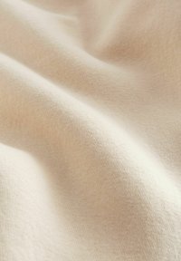 Next HEAVYWEIGHT BRUSHED CREW NECK - Melegítőfelső - neutral