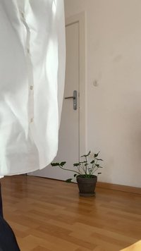 Chemise blanche partiellement visible au premier plan, porte blanche fermée avec poignée en métal, et plante verte en pot sur un sol en bois contre un mur beige.