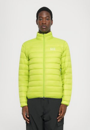 TRAIN CORE JACKET - Doudoune - macaw green