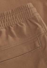 Mammut MASSONE - Broek - dark sand