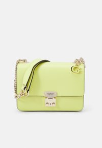 Neselectat, chartreuse