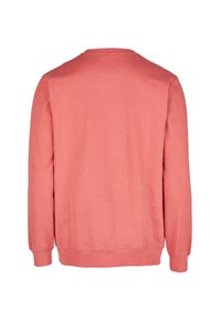 Coral sweatshirt, crew neck, long sleeves, soft cotton material, ribbed cuffs and hem, smooth texture, no visible embellishments.