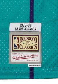 Mitchell & Ness LARRY JOHNSON 2 CHARLOTTE HORNETS NBA  - Top - turquoise