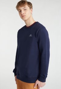 Felpa in cotone blu navy con collo a giro, polsini a coste e un piccolo logo O'Neill bianco sul petto. Tessuto liscio e design casual.