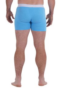 Boxer-briefs en coton bleu clair avec une ceinture élastique blanche, design ajusté et texture lisse. Coutures visibles et sans motifs.