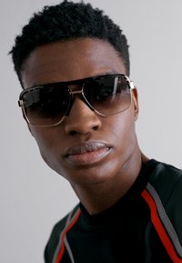 Dsquared2 Γυαλιά ηλίου - havana/gold-coloured