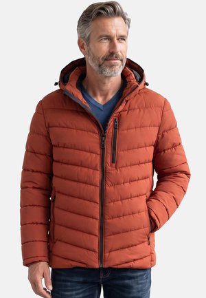 Mittelalter Mann mit grauem Bart, trägt eine rostfarbene gesteppte Jacke mit Kapuze und ein blaues Hemd, Hände in den Taschen, schaut seitwärts.