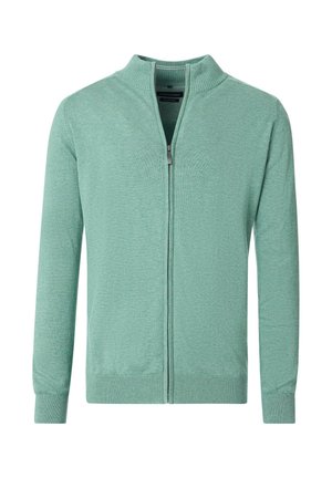 Light green zip-up sweater with a stand collar, long sleeves, ribbed cuffs and hem, and a soft textured knit material.