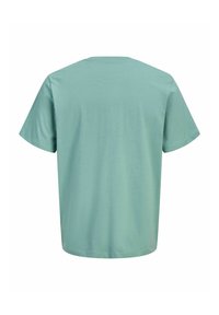 Mintgroen T-shirt met korte mouwen van katoen, voorzien van een ronde hals en een ontspannen pasvorm, met een gladde textuur en zonder zichtbare patronen.