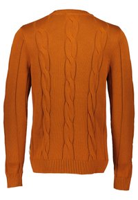 Kabelstrickpullover in Orange mit Rundhalsausschnitt, gerippten Bündchen und Saum. Die Rückseite zeigt detaillierte, erhabene Strickmuster.