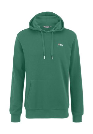 Sudadera de algodón verde con un bolsillo canguro delantero, capucha con cordón y un pequeño logo bordado en el pecho. Textura suave, diseño casual.