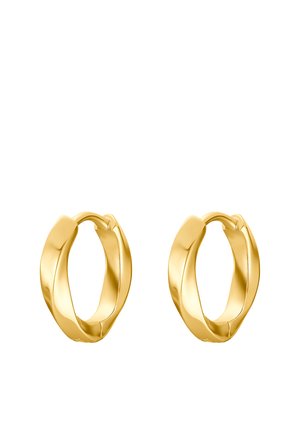 Earrings - goldfarbend