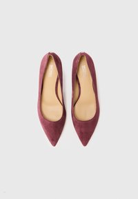 Burgundske zamšene balerinke s koničastim nosom, ki imajo gladko notranjost in eleganten silhueto. Brez vidnih dodatkov ali okrasnih elementov.