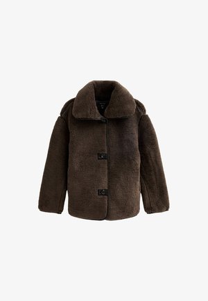 Manteau en peluche marron foncé, boutonné, avec un large col et de longues manches, présenté sur fond blanc.