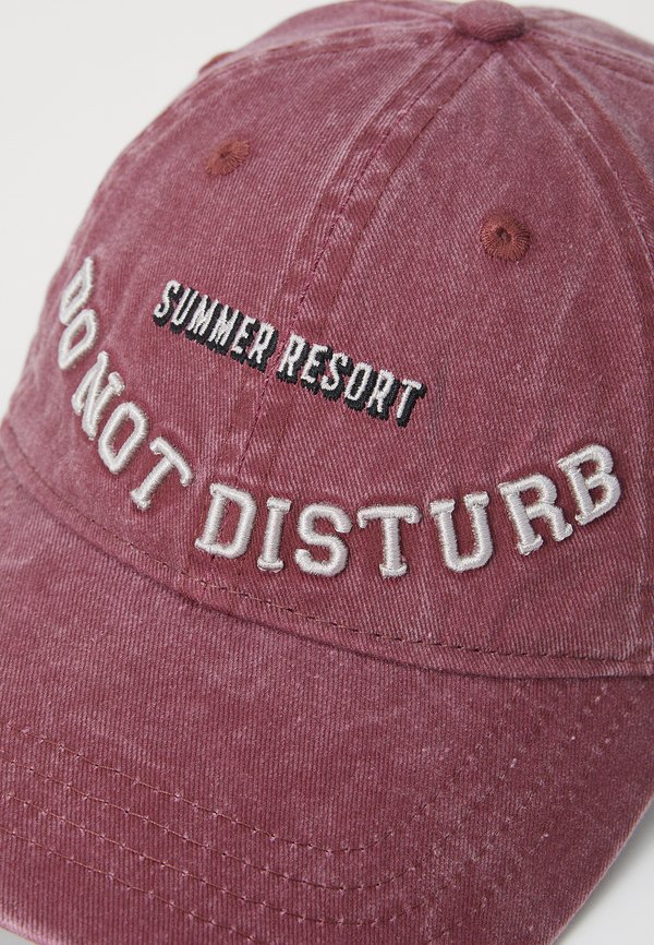 BASEBALL - Cap - pflaume4