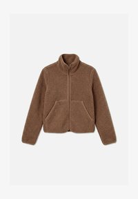 Non sélectionné, fossil