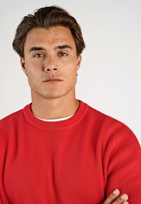 Giovane uomo con capelli castani e occhi marroni che indossa un maglione rosso a coste, guarda direttamente davanti a sé con un'espressione neutra, sfondo bianco.