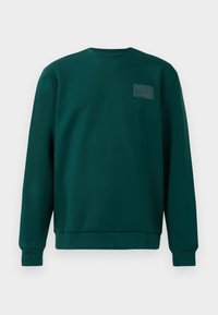 TRAIN CORE UNISEX - Mikina - ponderosa pine