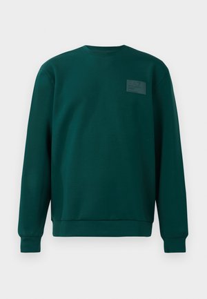 TRAIN CORE UNISEX - Sweatshirt - ponderosa pine