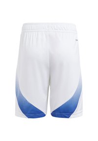 Białe sportowe szorty z niebieskim gradientowym panelem z siatki po bokach, elastycznym pasem i gładką teksturą materiału.
