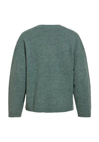 Pull tricoté vert doux à manches longues avec ourlet et poignets côtelés, vu de dos sur fond blanc.