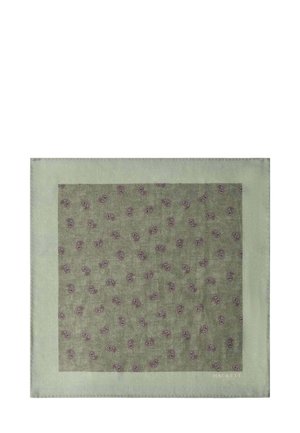 Écharpe verte à motif cachemire avec une bordure vert clair. Fabriquée en tissu doux, elle présente un détail complexe dans un design répétitif.