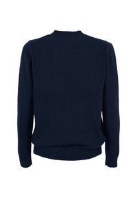 Marineblauwe gebreide trui met een klassieke ronde hals, geribbelde manchetten en zoom. Soepele textuur en een relaxte pasvorm met minimale details.