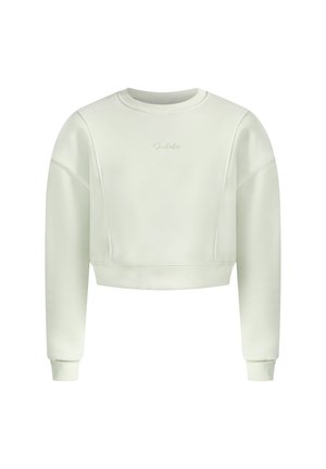 Kort sweatshirt in lichtgroen, gemaakt van zachte stof. Heeft een ronde hals, lange mouwen, ribgebreide manchetten en een subtiele geborduurde logo.