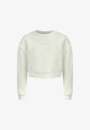 Lyhyt hihainen vaaleanvihreä collegepaita, joka on valmistettu pehmeästä kankaasta. Siinä on pyöreä pääntie, pitkät hihat, ribbineuleiset hihat ja hienovaraisesti brodeerattu logo.