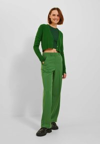 Groene cropped cardigan over een groen gestreept topje, gecombineerd met groene brede broek. De outfit heeft een zachte textuur en een stijlvolle pasvorm.