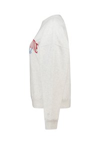 Lichtgrijze sweatshirt gemaakt van zacht materiaal. Heeft lange mouwen, ribgebreide boorden en een gedurfde rode en blauwe grafische tekst op de voorkant.