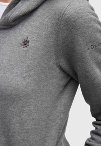 Grijze hoodie van zacht materiaal, met een kap, een klein geborduurd schip logo en het woord "Droom" op de mouw gestikt.