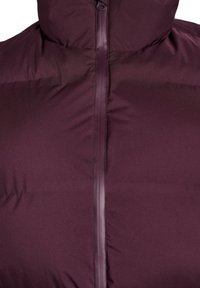 Chaqueta de plumas color burdeos con un alto cuello y un cierre central. La tela parece suave con un acabado ligeramente reflectante.