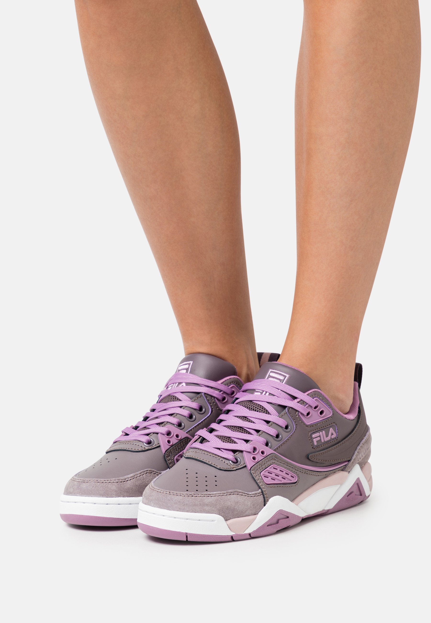 purple filas with flowers