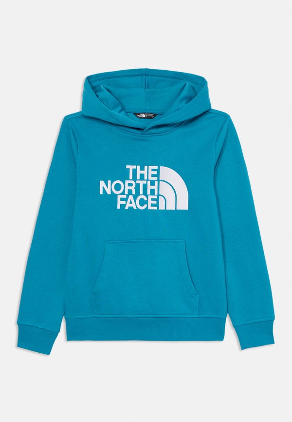 DREW PEAK HOODIE UNISEX - Sweatshirt - digital steel