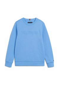 Lichtblauw sweatshirt met reliëf "HILFIGER" logo. Heeft een ronde hals en ribgebreide manchetten. Glad textuur, casual ontwerp, zonder patronen.