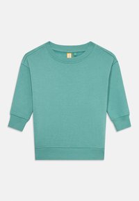 Felpa corta color teal realizzata in tessuto morbido, con scollatura e polsini a costine, dal design semplice e senza motivi o accessori visibili.