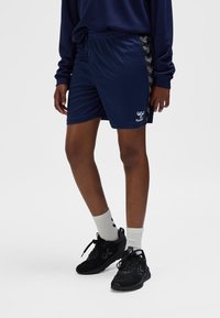 Marineblauwe sportkorte broek met een gladde textuur, voorzien van een patroon op het zijpaneel en een logo linksonder. Draagt zwarte sneakers en sokken.