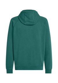 Sweat à capuche vert avec une texture douce, doté d'une capuche, de manches raglan et de poignets côtelés. Le dos est uni, sans logos ni motifs visibles.