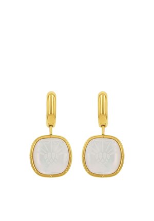 Earrings - bicolor