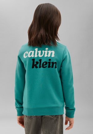 Barn med skulderlangt brunt hår iført en turkis sweatshirt med teksten "calvin klein" på bagsiden, stående mod en ensfarvet grå baggrund.