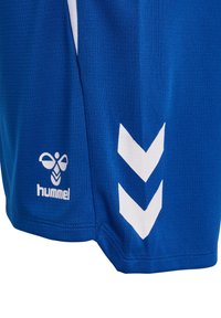 Blå sportshorts i texturerat tyg. Funktioner med vitt chevronmönster och logotyp på vänster sida. Sydda kanter, lätt vikt.